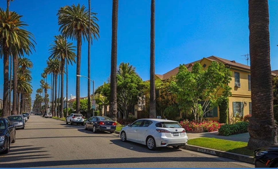 The Crown Jewel of  South Palm Drive