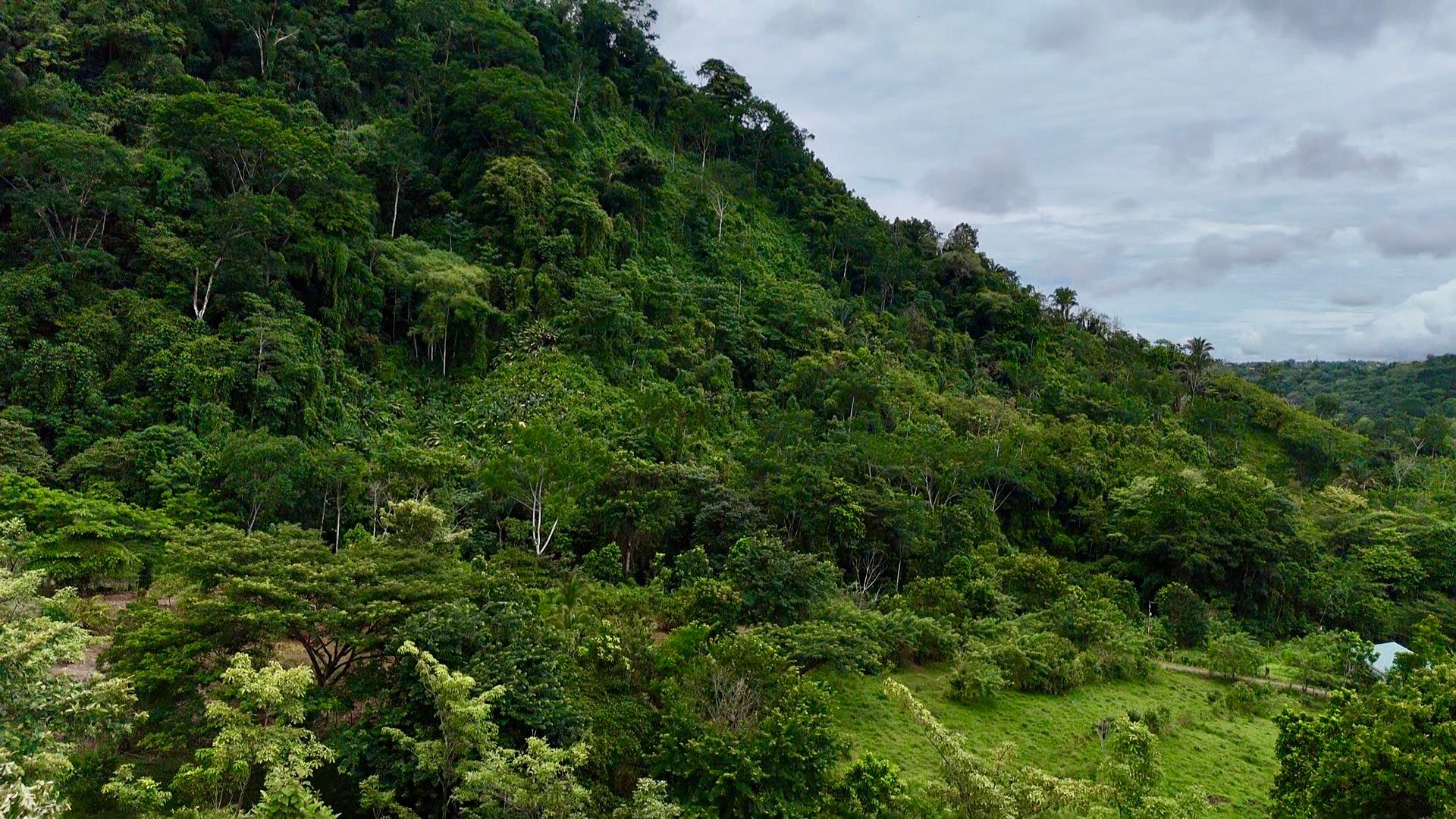 Ocean View Sanctuary in San Buenas – 4.94 Acres of Pastures & Easy Accessaccess