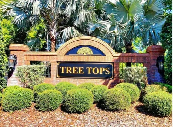 Tree Tops