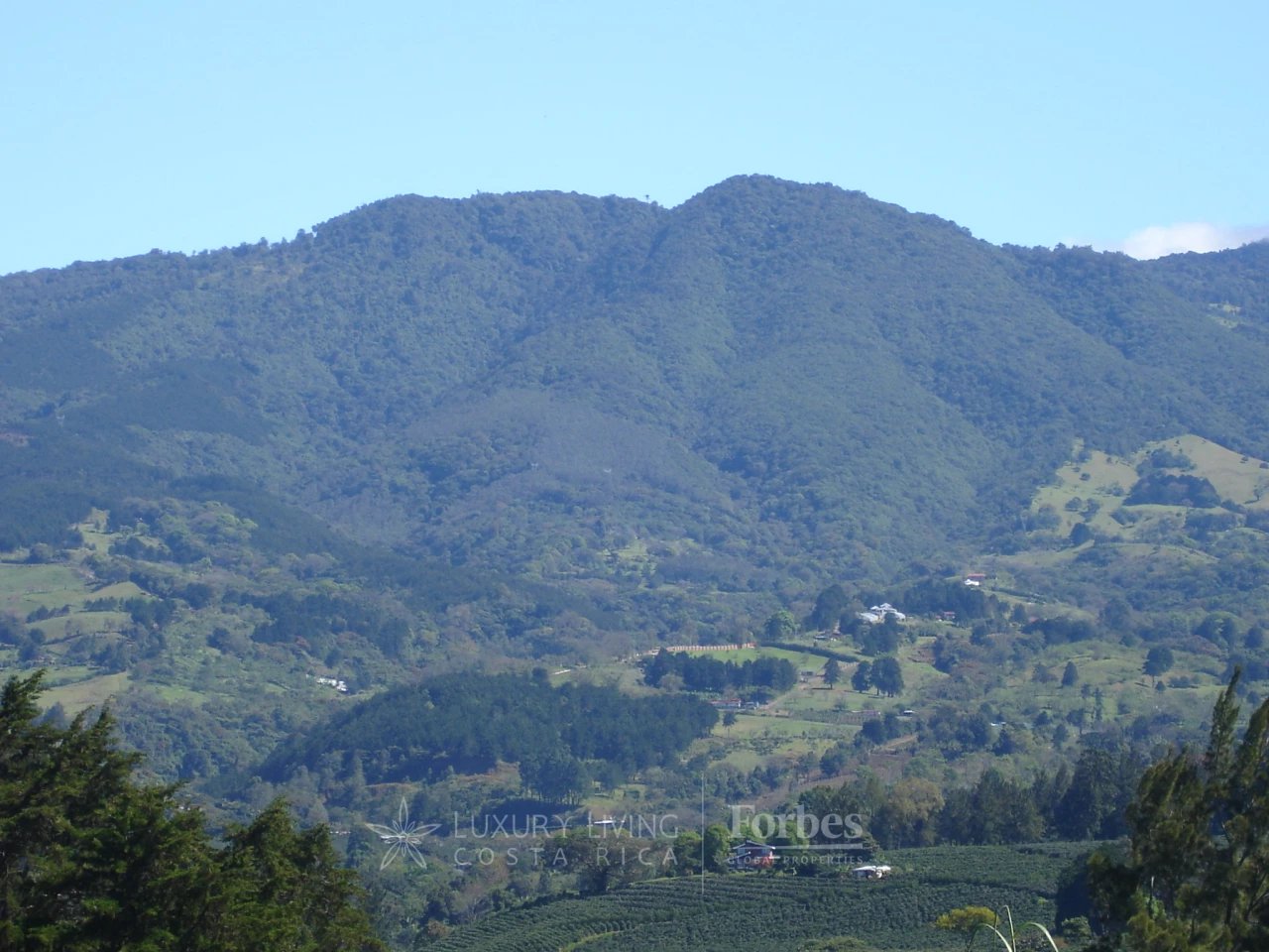 20089 - Luxurious Coffee Estate for Sale in the Mountains of Alajuela