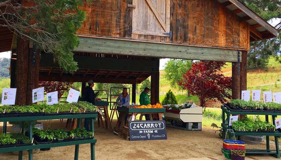 24Carrot Farm organic produce market