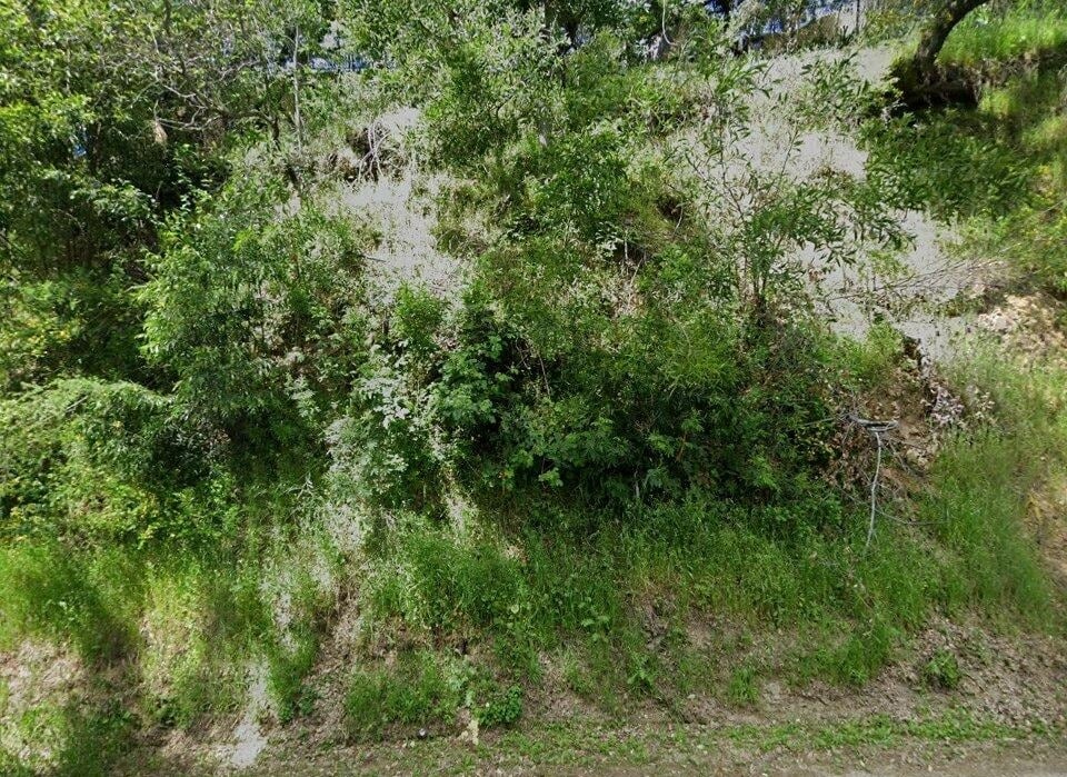 70 Poplar Dr