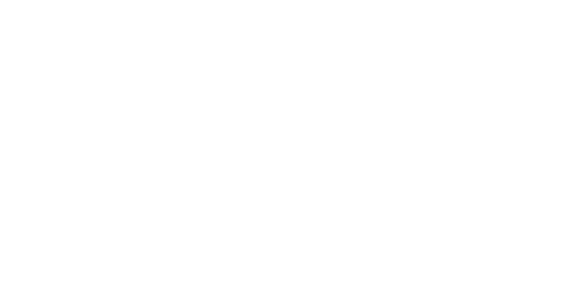 Light Logo