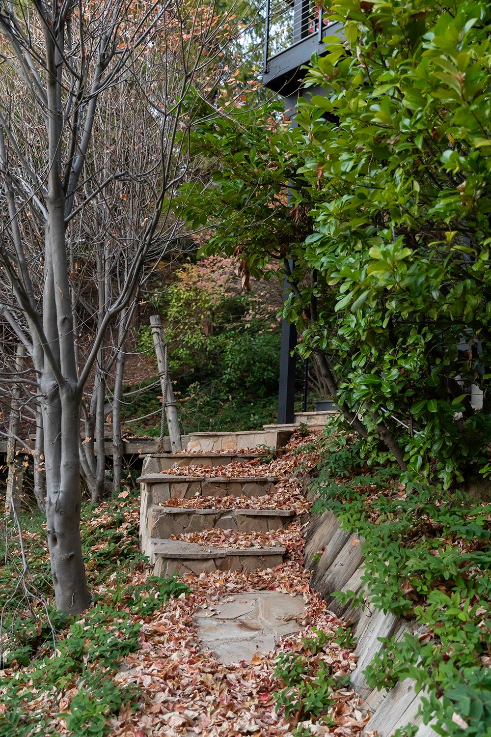 Escape the noise of the city