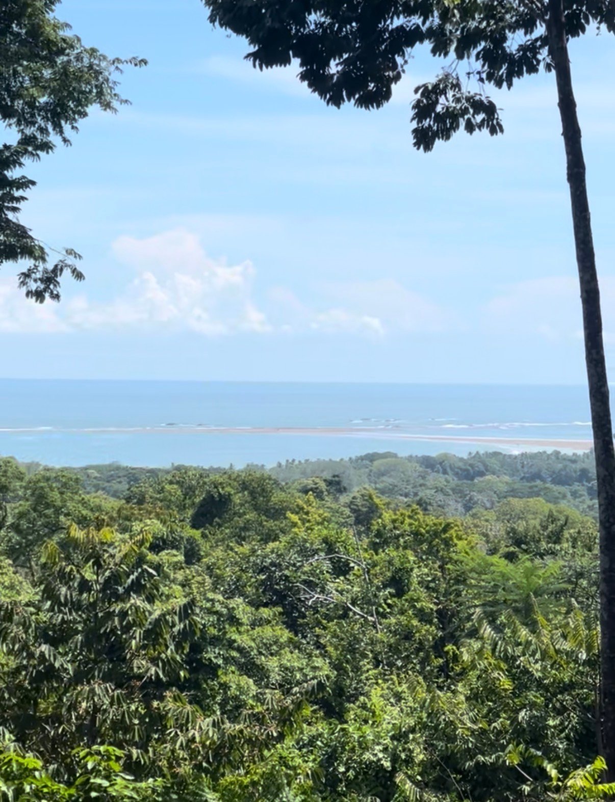 1.7 Acres Ocean View Lot with Producing Cabin in Uvita