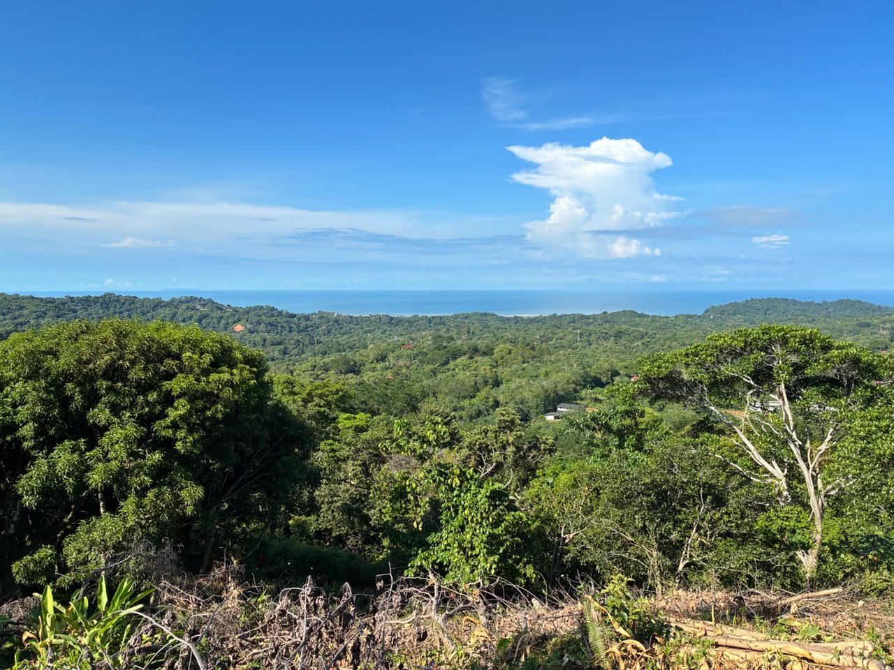 Spectacular Ocean View Lot in Ojochal Phase 9
