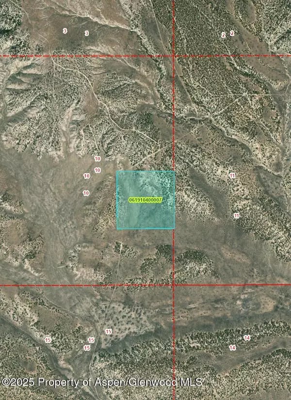 Aerial map showing a turquoise-outlined parcel in sparsely wooded terrain, crossed by red survey grid lines.