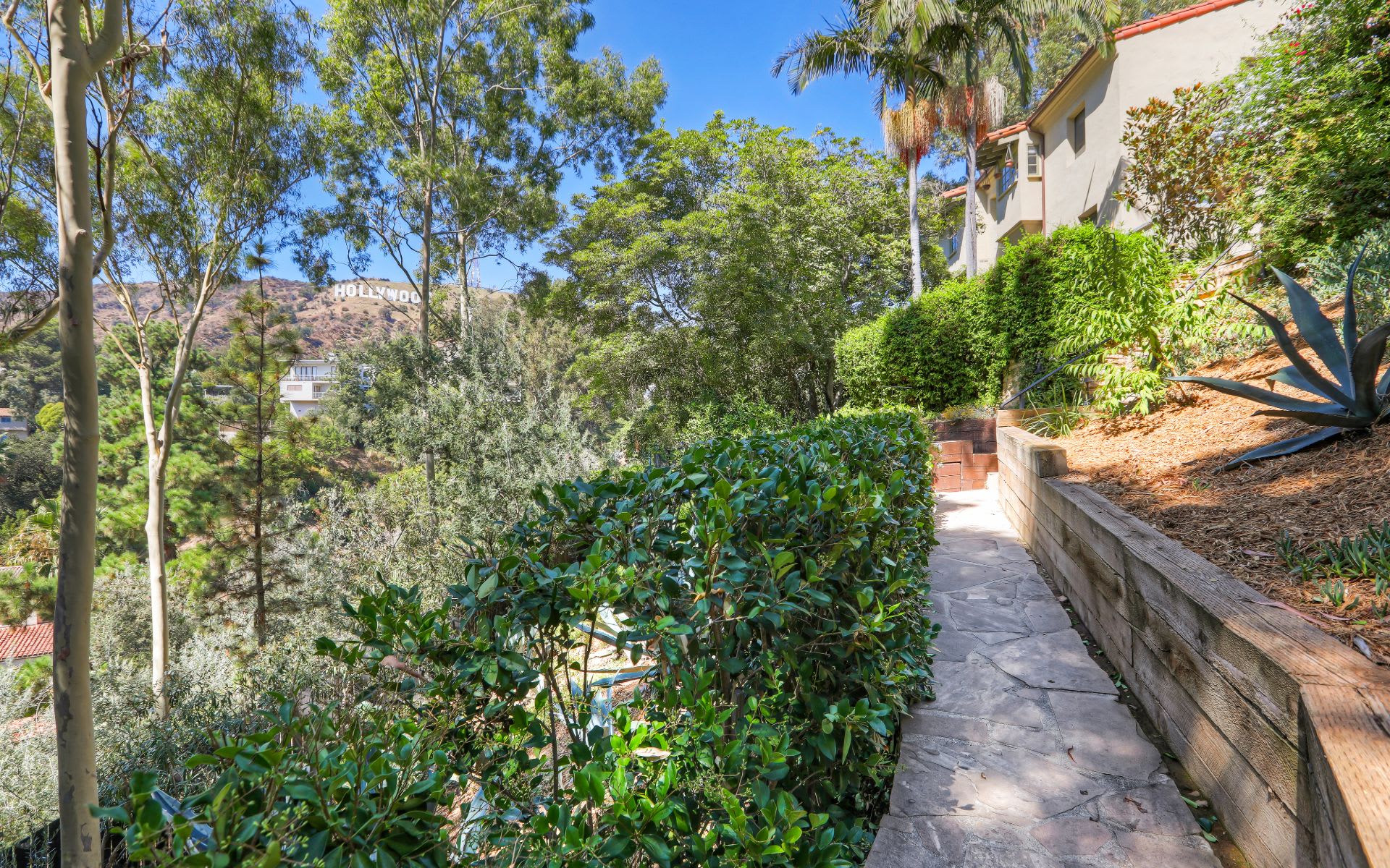  3259 Deronda Dr