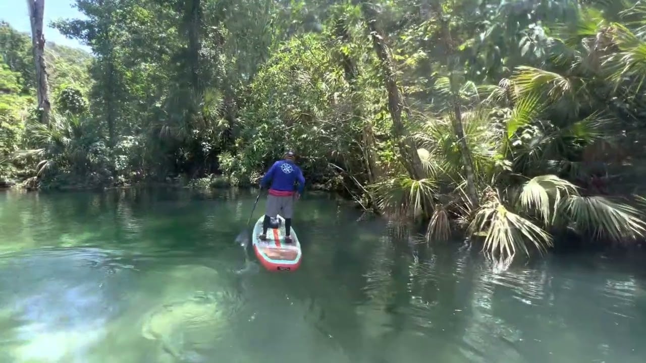Weeki Wachee river upriver from Shoal Line Bridge