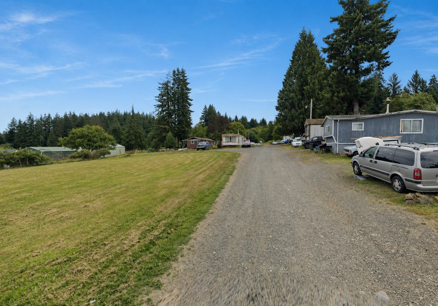 Wooded property with a grassy clearing, gravel driveway, and small homes beneath tall evergreens.