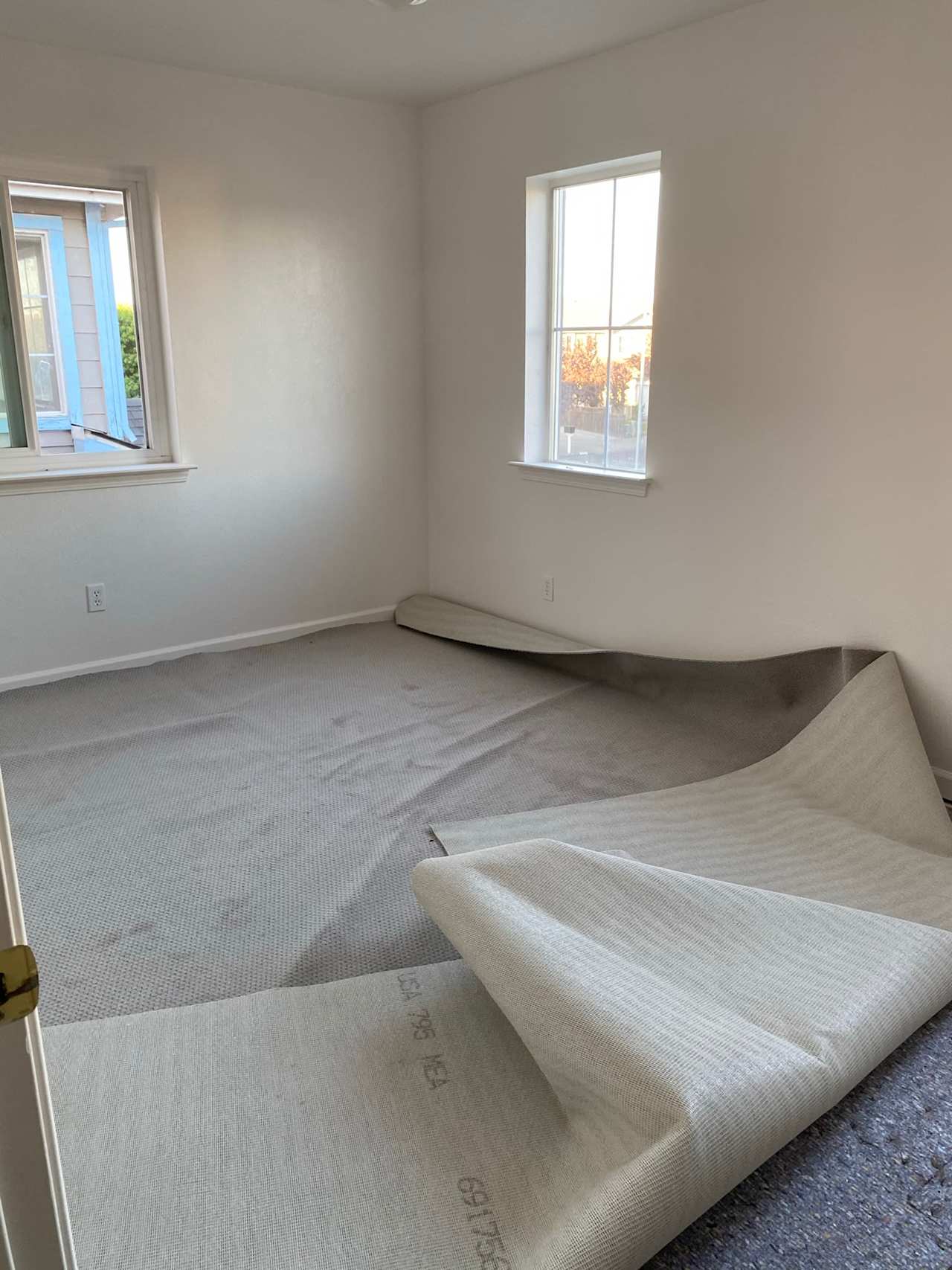 Image Before