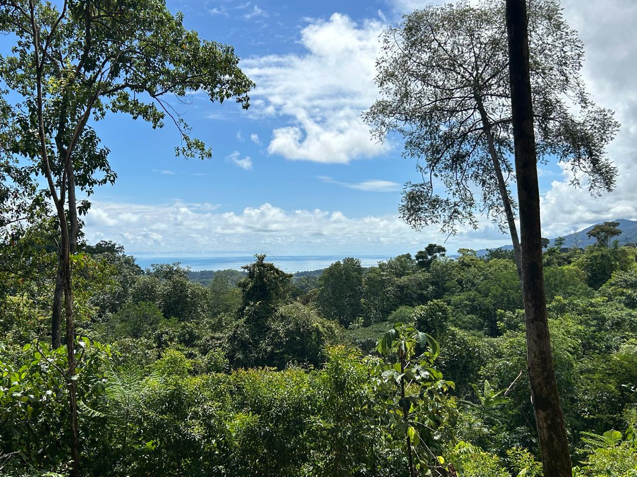 Marvelous Ocean View Parcel in Uvita.