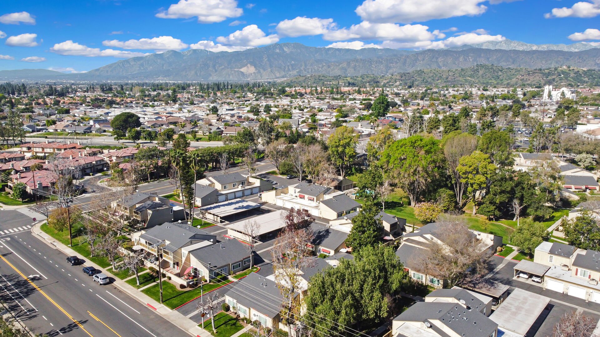 1453 Cypress Street