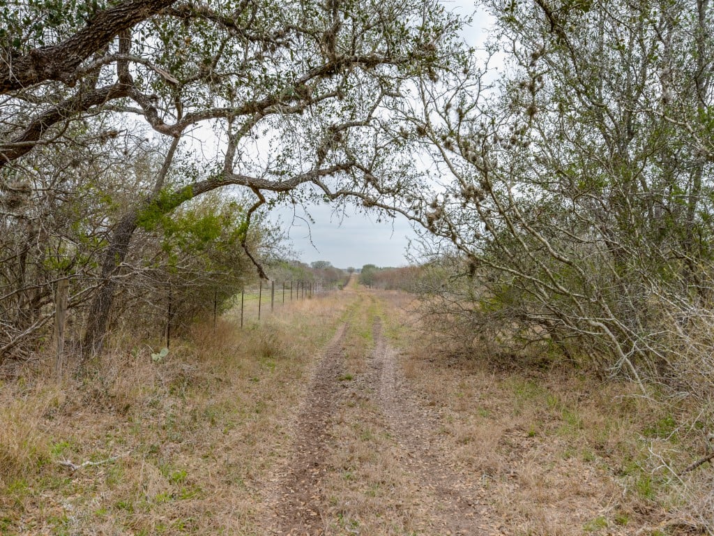 300 Acres in Goliad County 