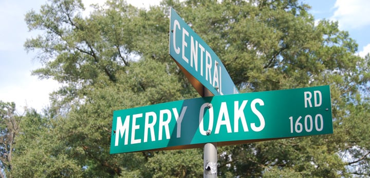 Merry Oaks