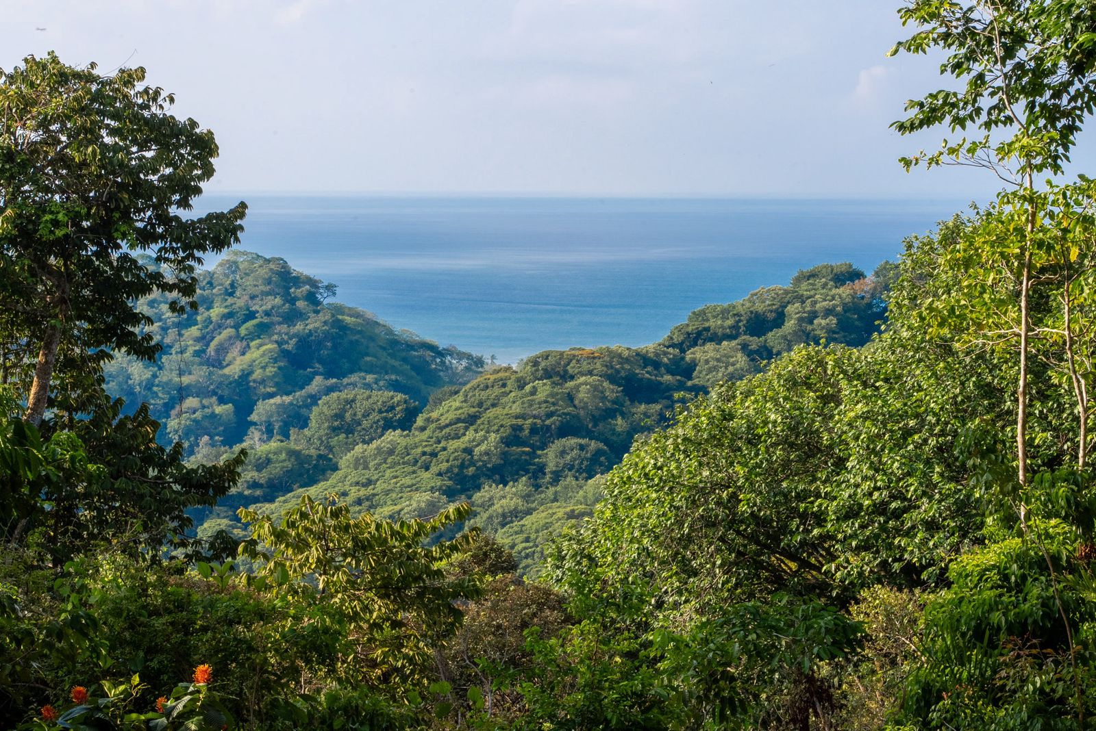 Rare 86-Acre Ocean View Estate Bordering Hacienda Barú – A Unique Opportunity for Conservation and Development