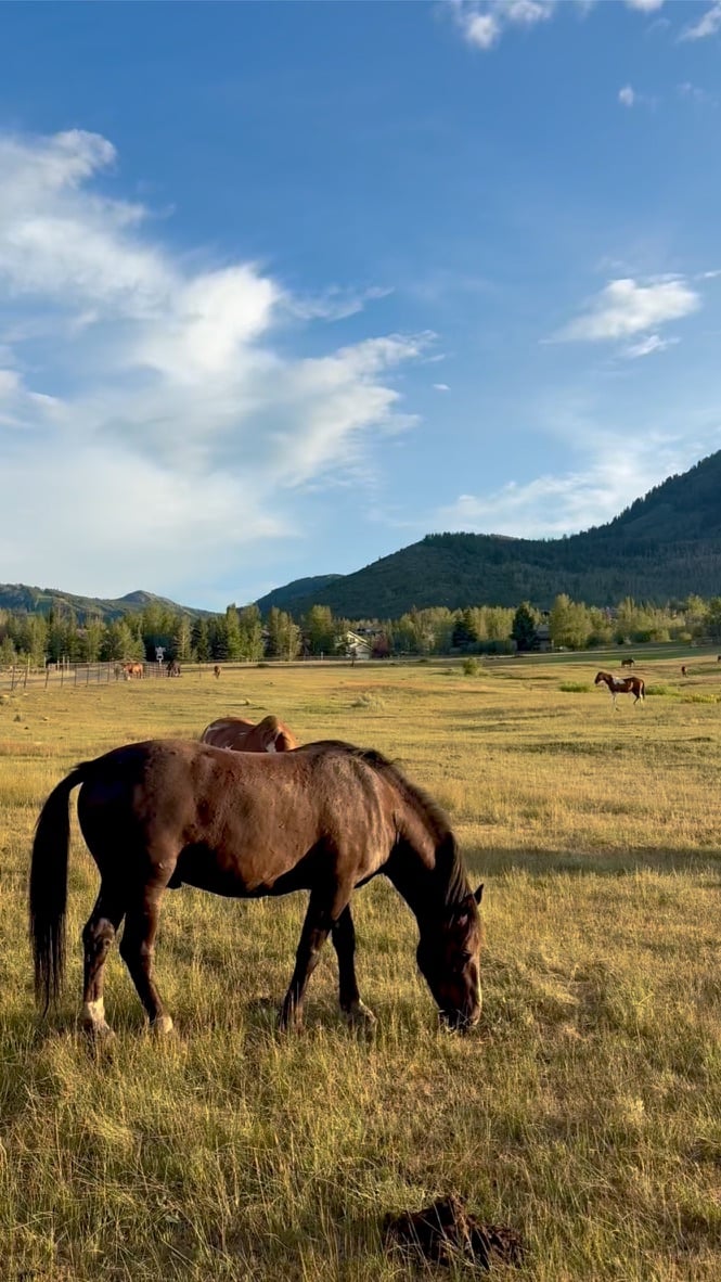 Why Do So Many People Choose To Live In Park City?