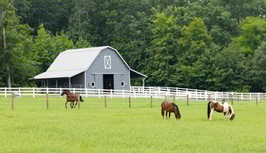 NC 330 Acre Legacy Equestrian Estate 