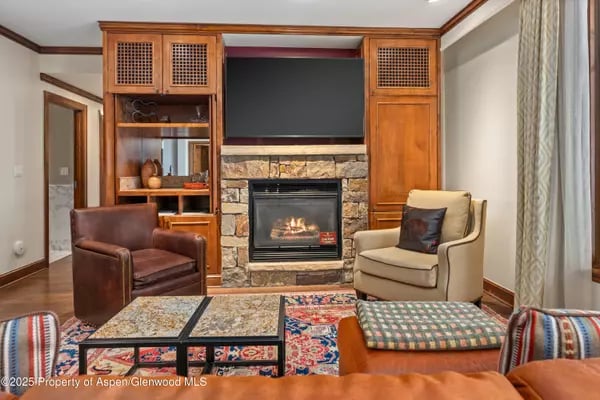 Living room with a stone fireplace, built-in wooden cabinetry, and seating around a colorful rug.