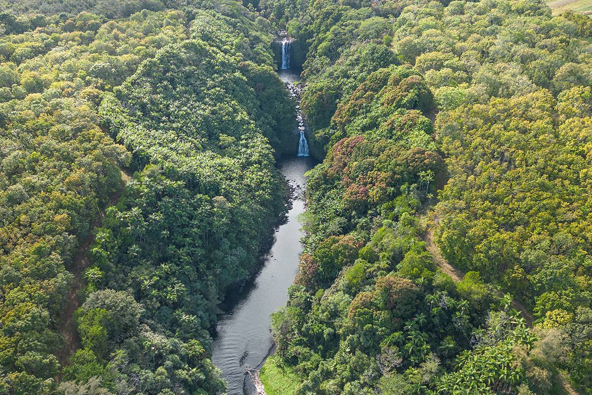 HAMAKUA COAST BIG ISLAND - OCEANFRONT 40 ACRES - WATERFALLS