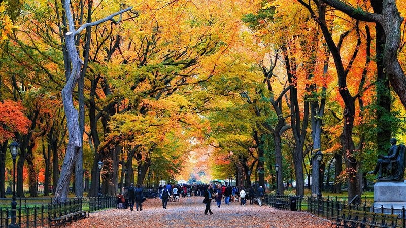 Manhattan Luxury Report: September 22, 2025 - September 28, 2025