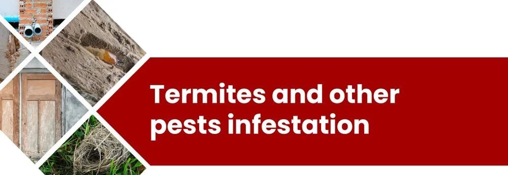 Biggest Home Inspection Red Flags To Look Out For Before Buying