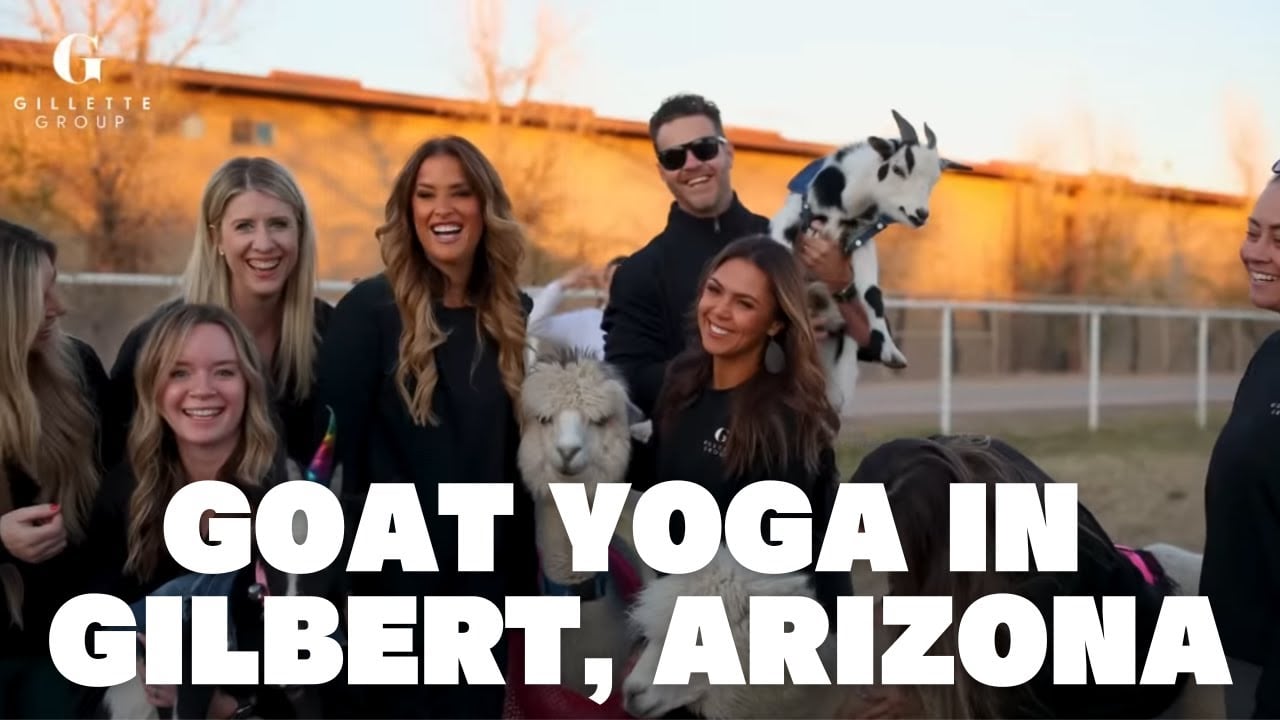 GOAT YOGA | Gillette Group