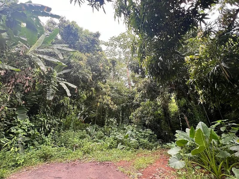 Carr 349 Km 1.01 Bo Quebrada Grande