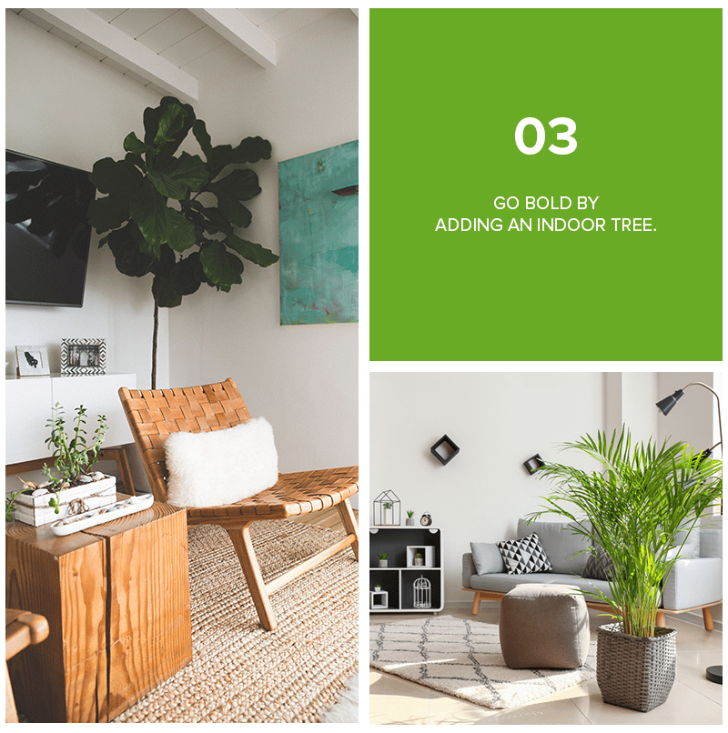 Tip 03: Go bold by adding an indoor tree.