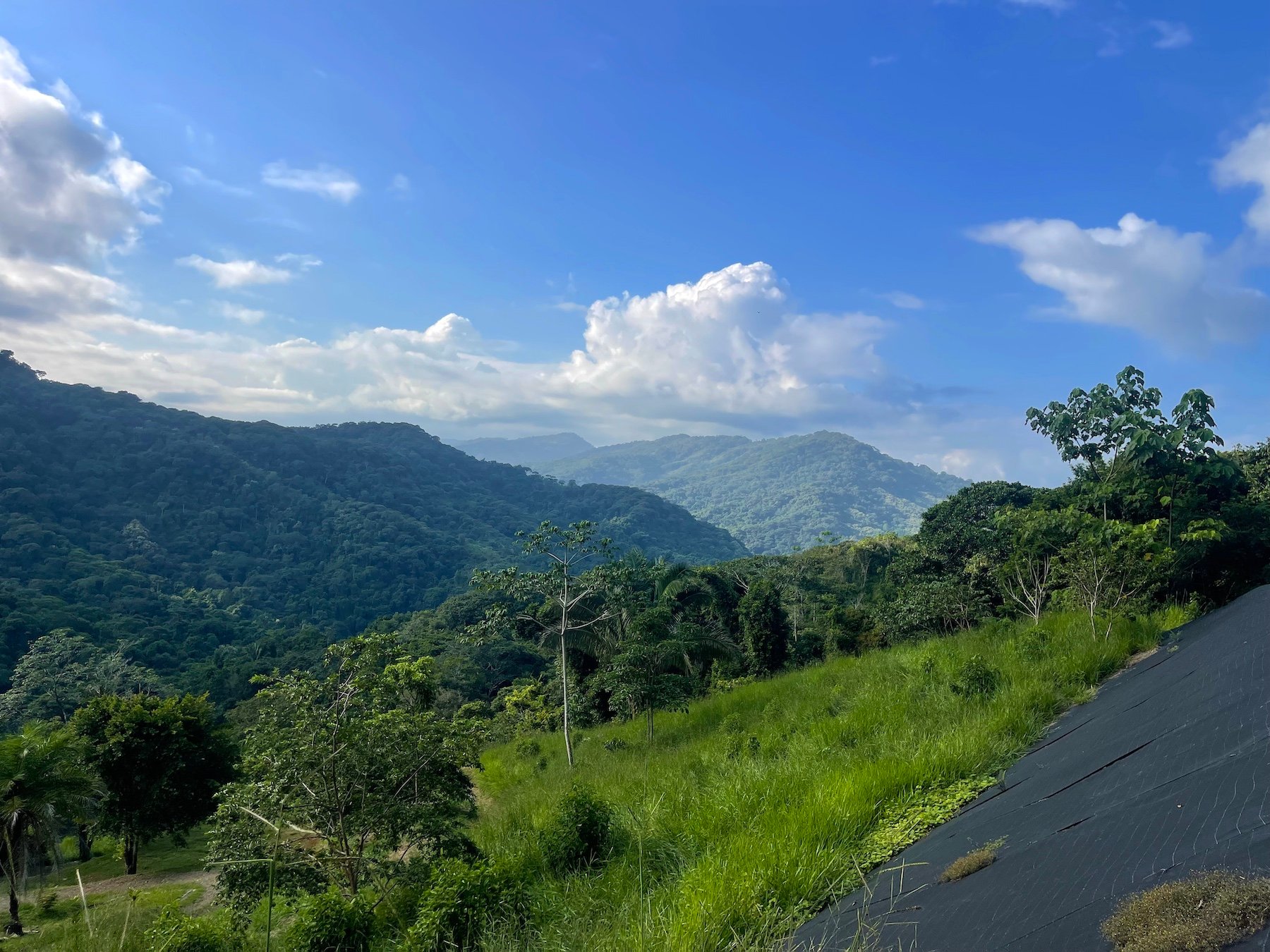 30-ACRES OF LAND WITH RIVER ACCESS, ROADS, AND BUILDING PADS IN LAGUNAS