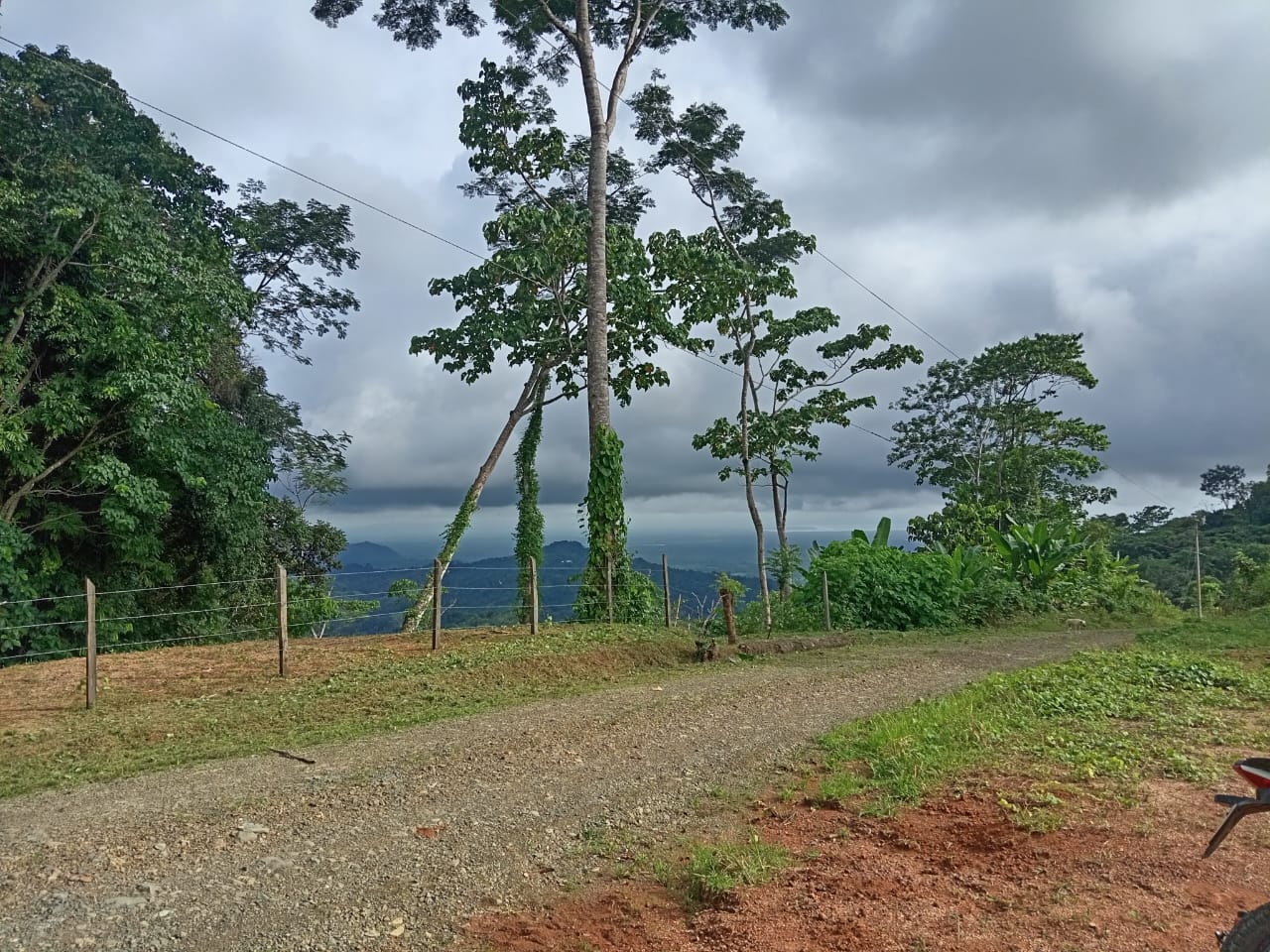 0.46 ACRES – Ocean View Land With Ready To Build Site, 2 Minutes Away From El Pavon Waterfall, Utilities On Site & Virgin Forest!!!