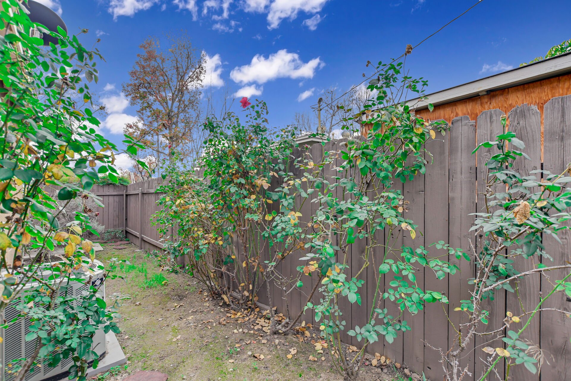 1481 Bonita Avenue
