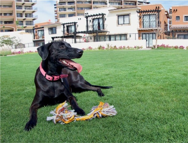 Mavila at Quivira Private Residences