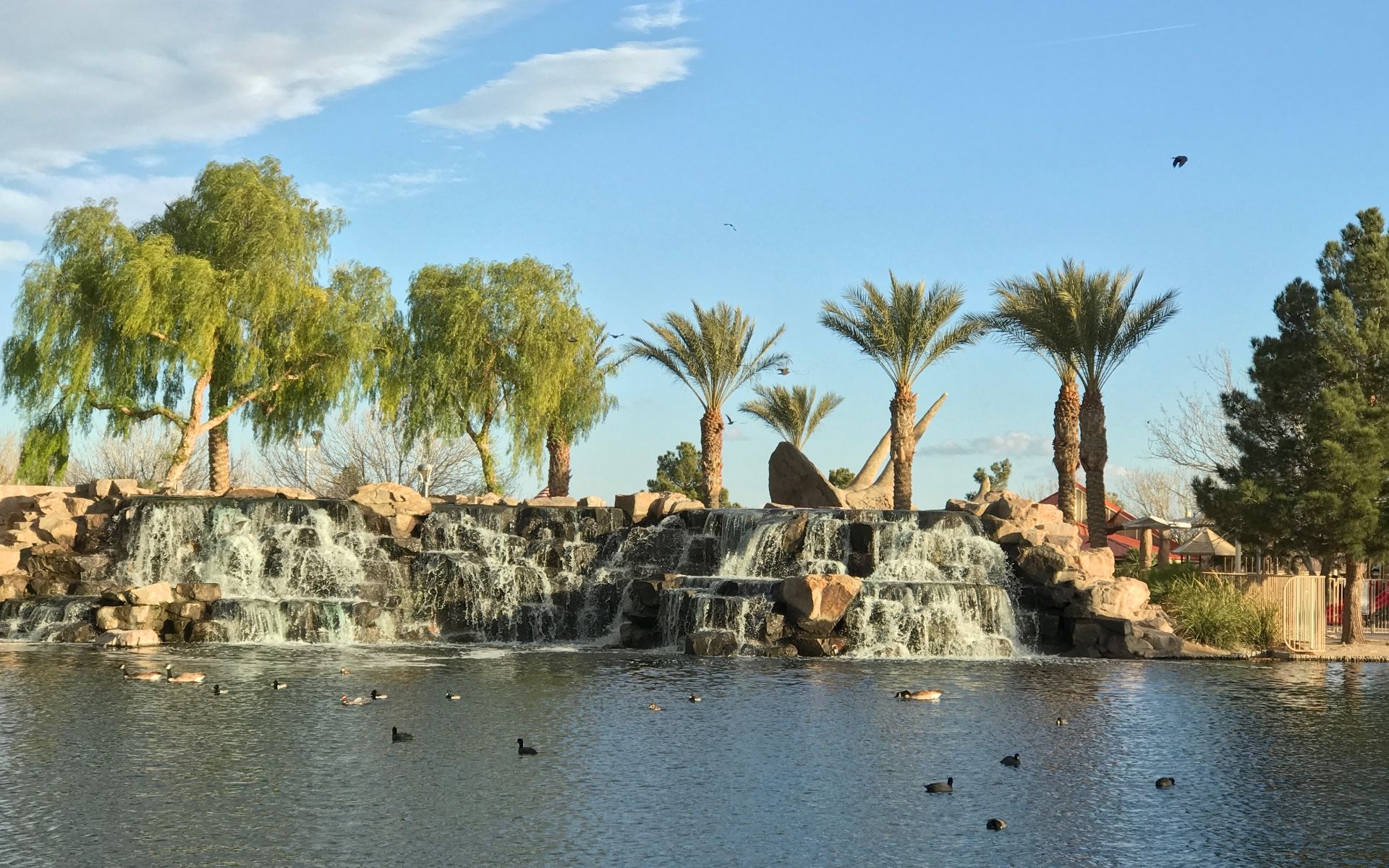 Beka Bernard | Las Vegas REALTOR® | LIC# S.0193505