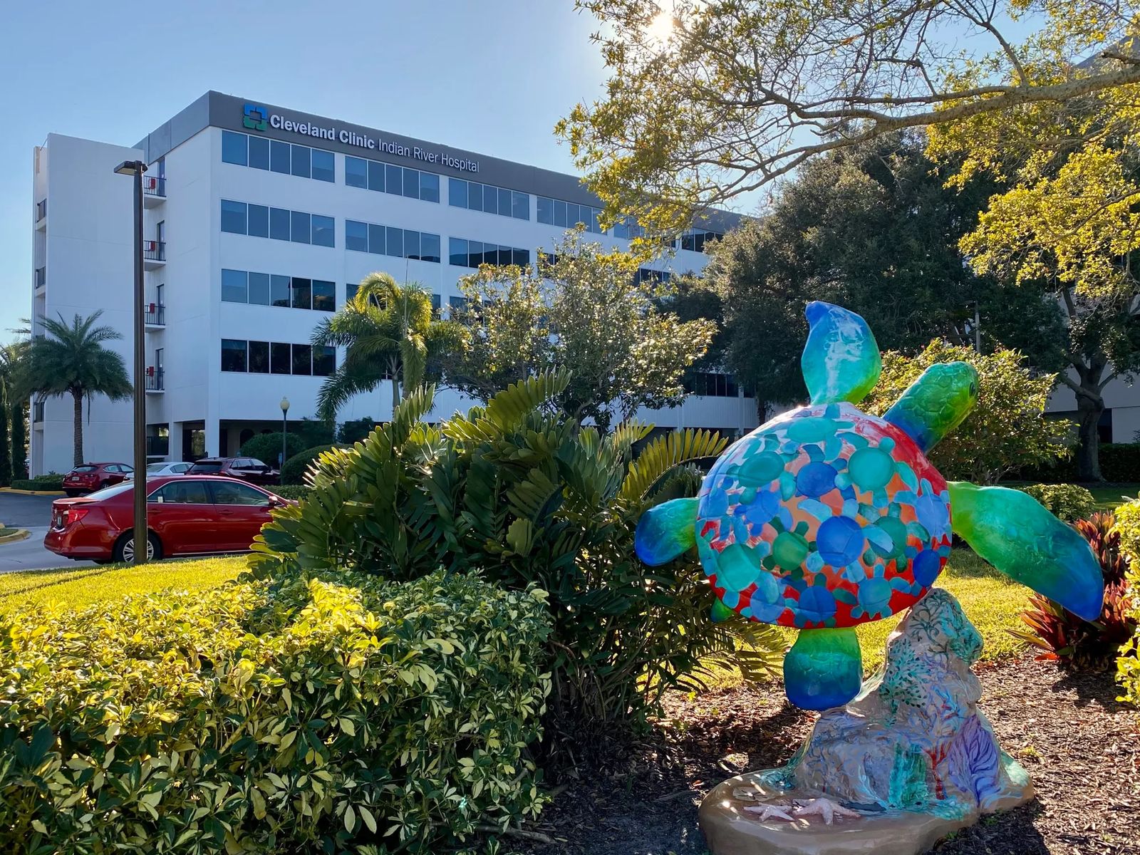 Cleveland Clinic Indian River Hospital exterior in Vero Beach with a painted sea turtle sculpture in the foreground garden