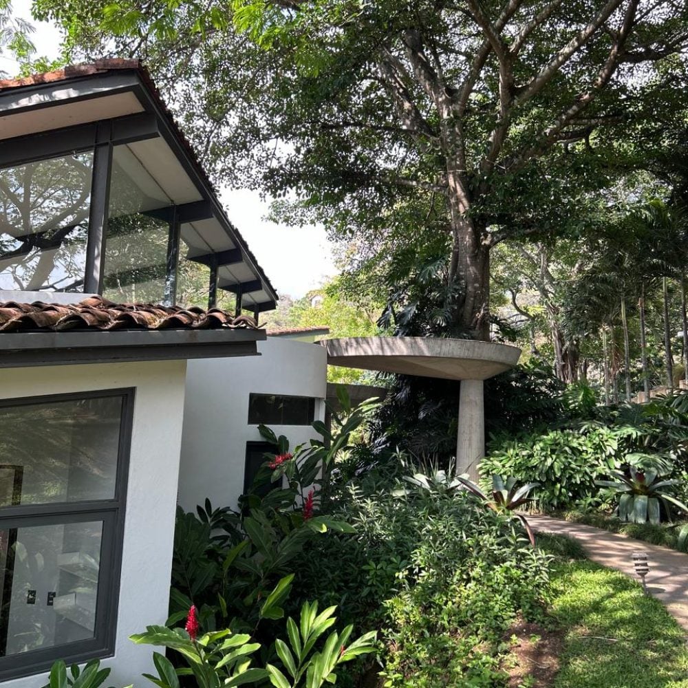Villa Real Jungle House