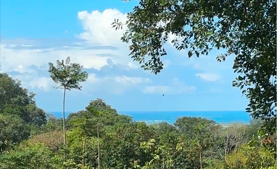 Casa by the Sea, Uvita Home and Casita