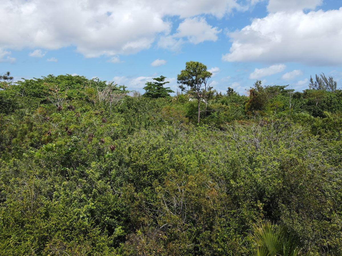 Lot 8 Off Cowpen Road