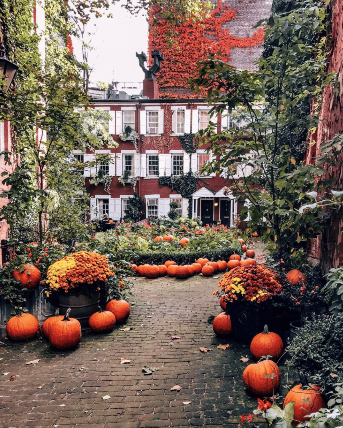 Fall-ing Around in West Village