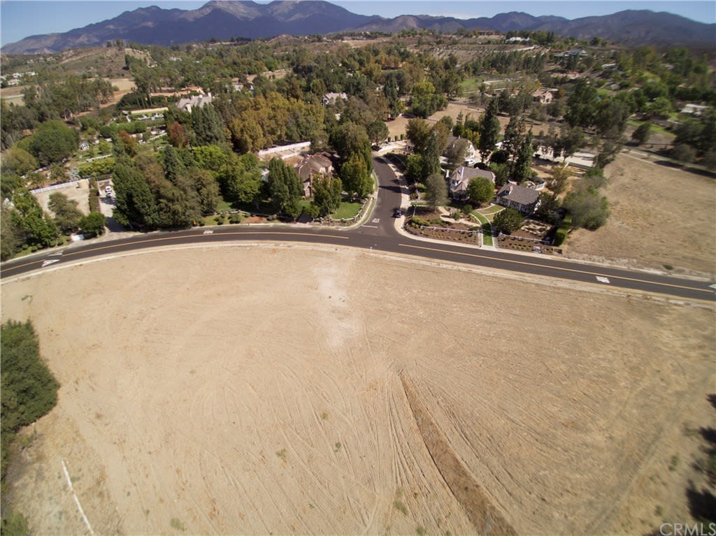 31572 TRIGO Trail