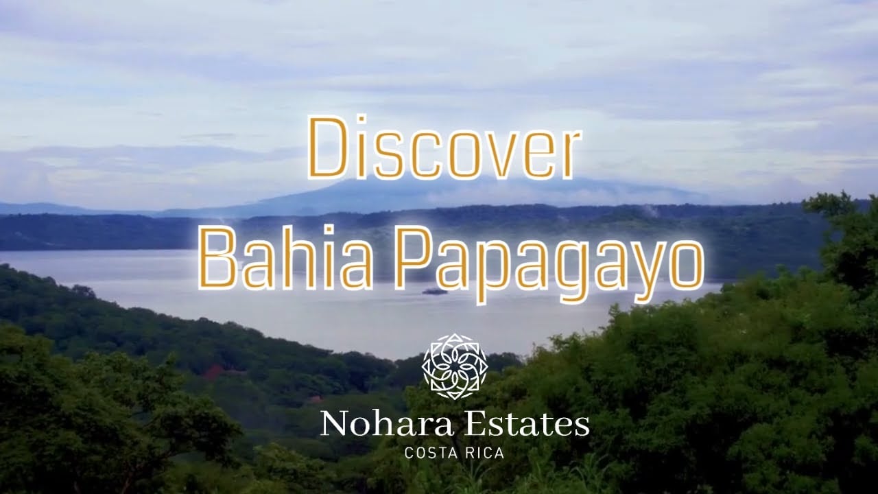 Discover Bahia Papagayo🌴: Experience Pura Vida Like Never Before 🌊✨