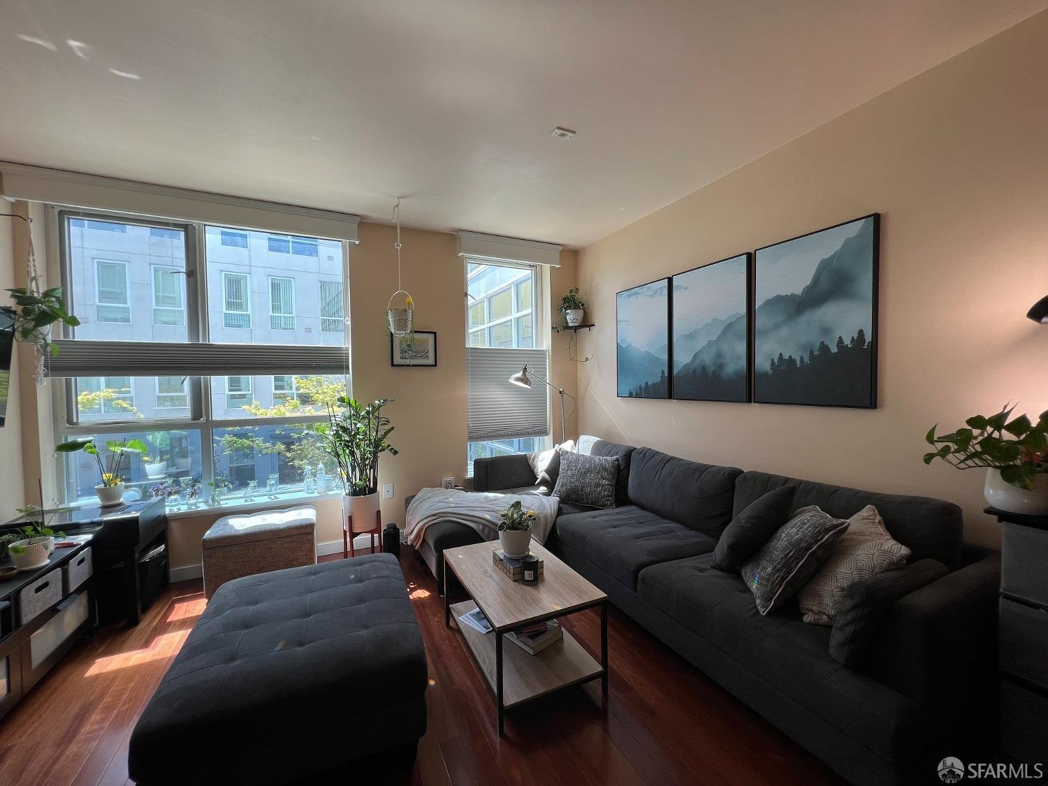 888 7th Street #231