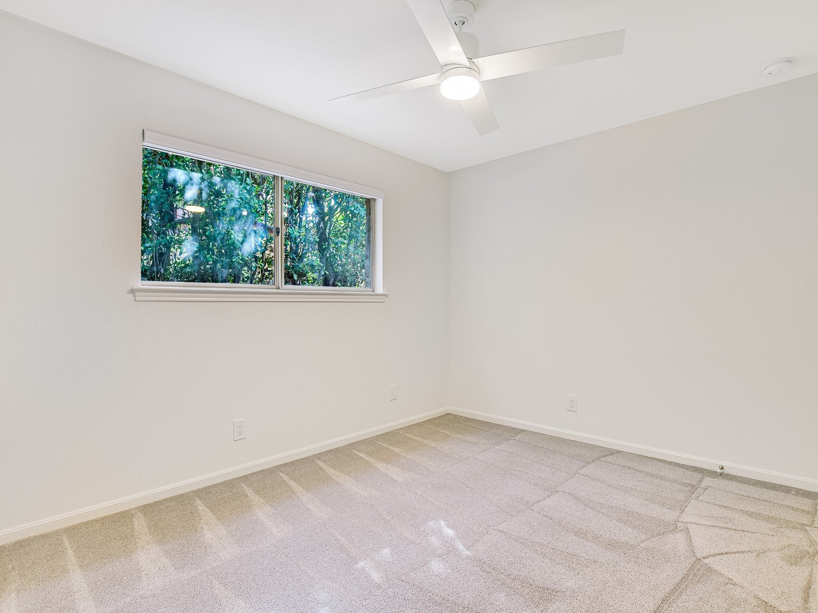  1501 Crested Butte