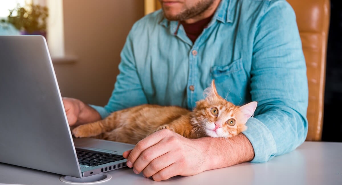 The Fine Print On HOA Rules Buyers Often Miss