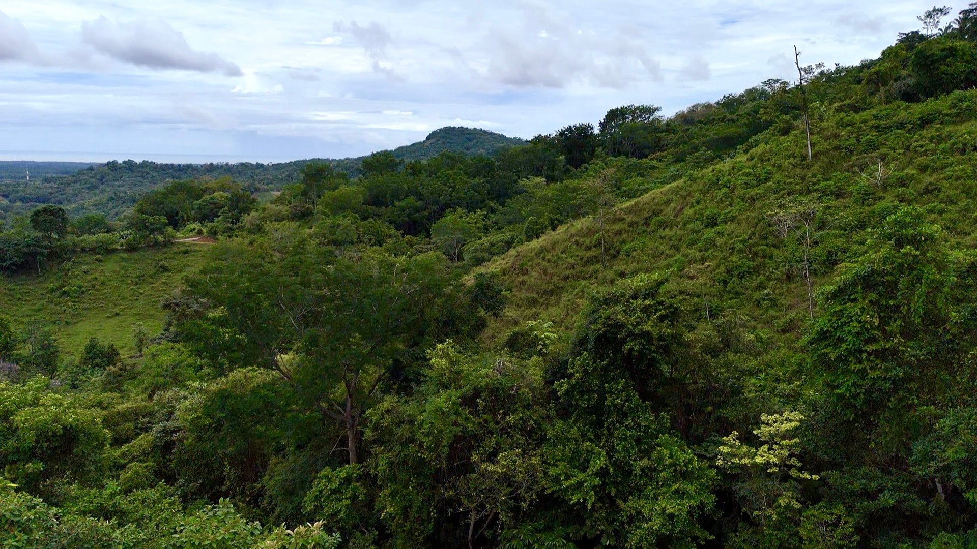 Ocean View Sanctuary in San Buenas – 4.94 Acres of Pastures & Easy Accessaccess