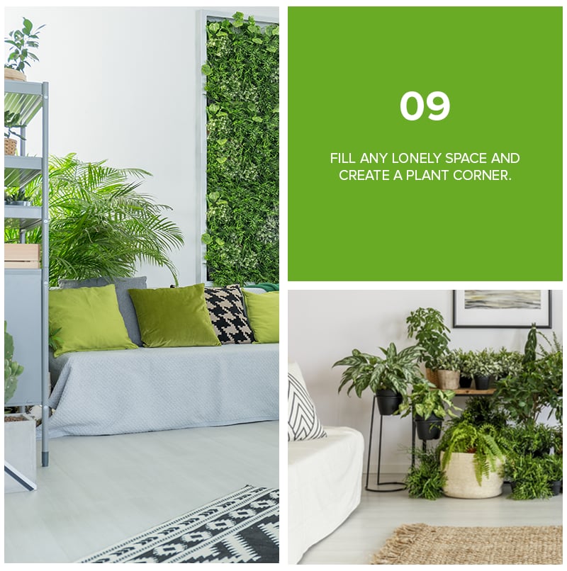 9 Refreshing Ways To Decorate Your Home With Plants