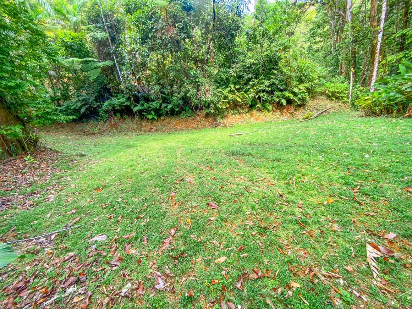 3 Bedroom Rainforest Home in Ojochal With River & Waterfall | 3.5 Acres Private