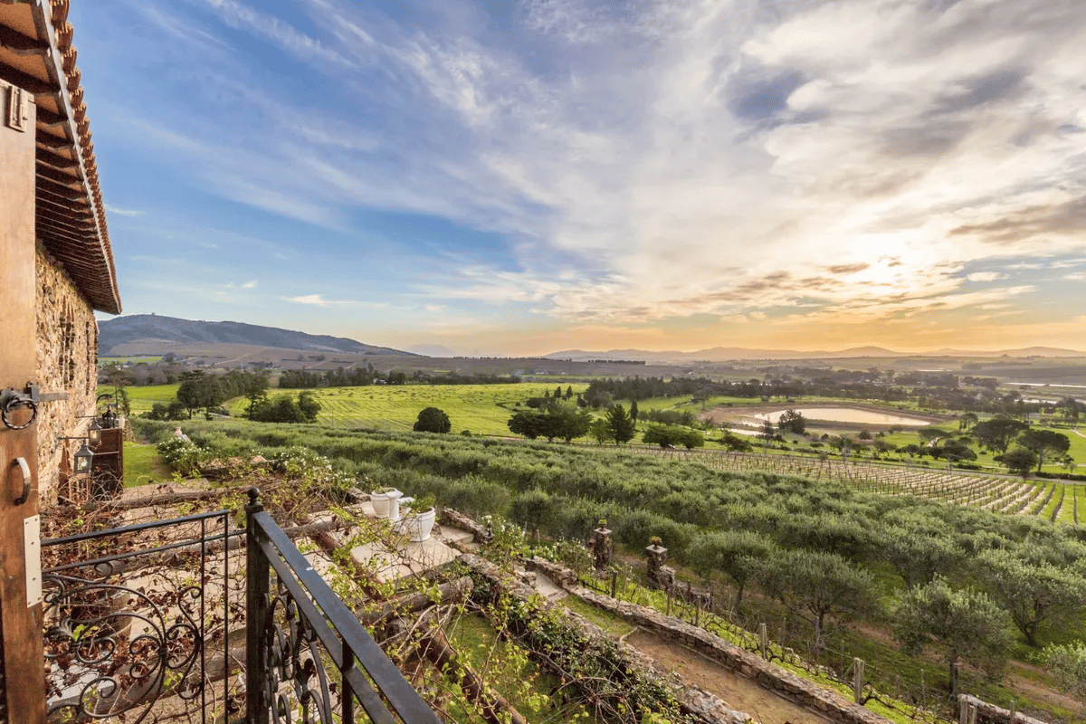 The Luxury Vineyards of South Africa