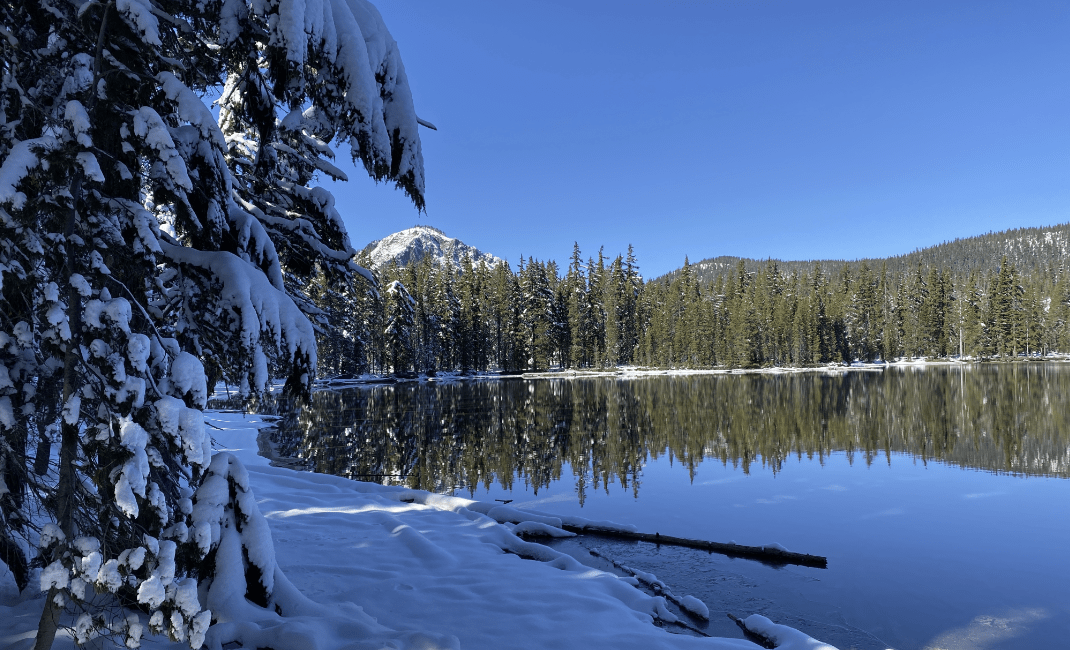 winter in a snowy fawn lake surrounded by trees under the blue sky