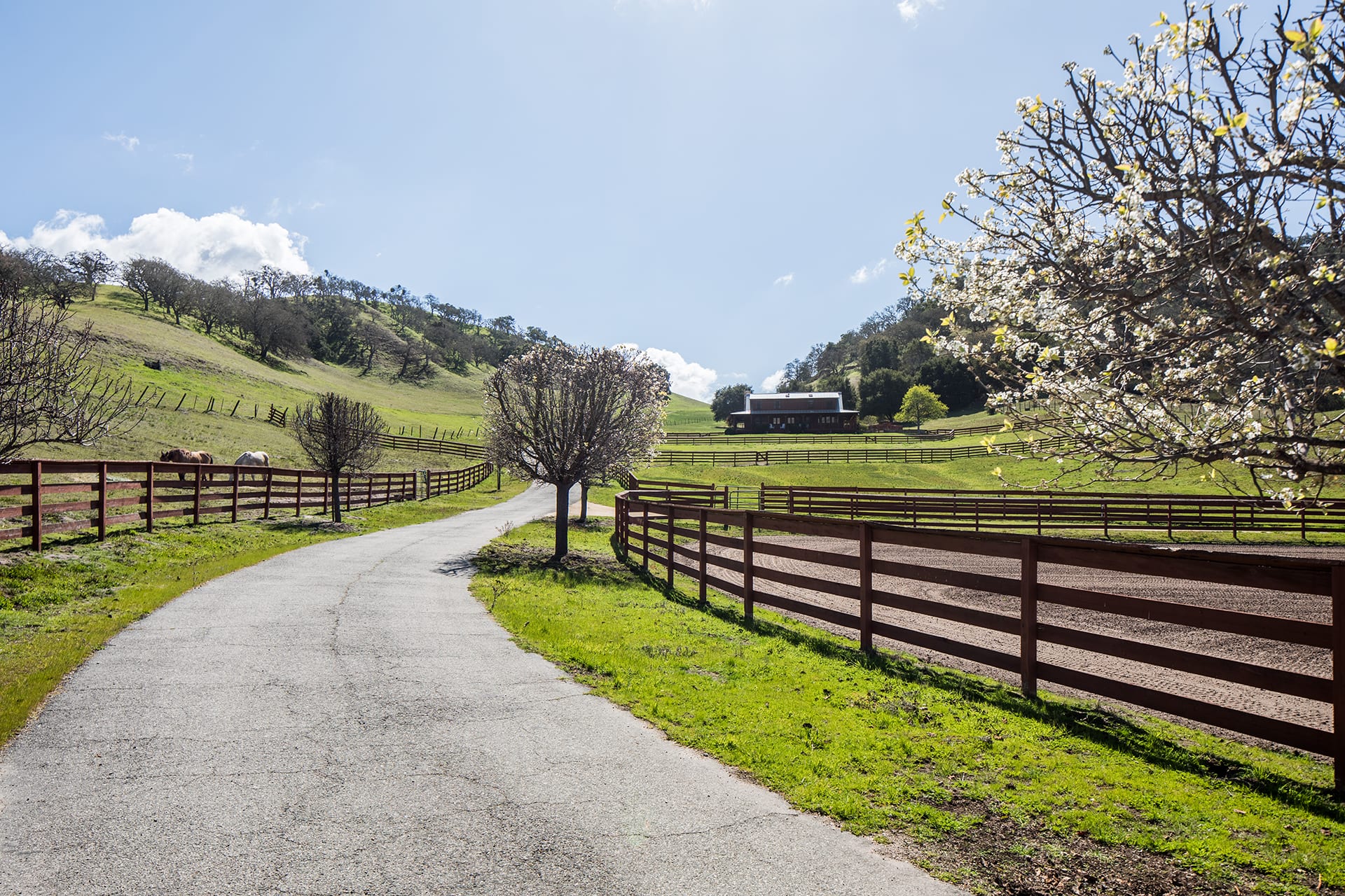 Steinbeck Country Living - 556 Corral de Tierra Road